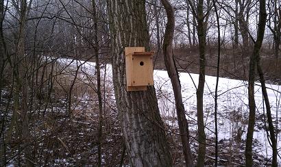 Cascade Girl Scout Project