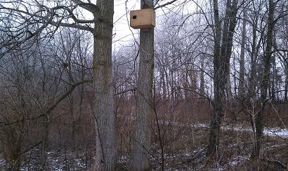 Cascade Girl Scout Project