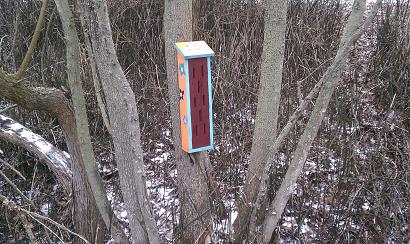 Cascade Girl Scout Project