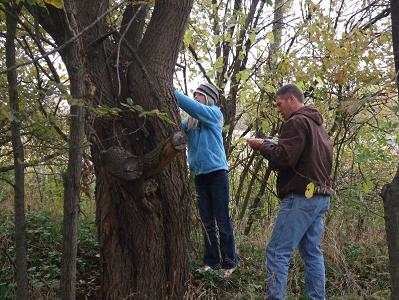 Cascade Girl Scout Project