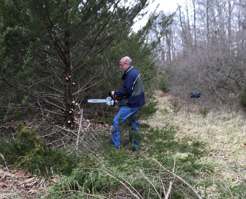 Greg Midgley clearing trailhead area