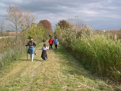 Trail midpoint