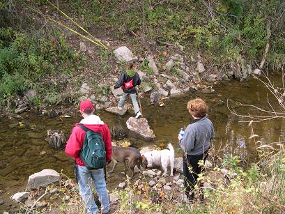 Creek Crossing