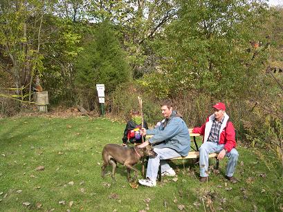 A break by Crittenden Creek